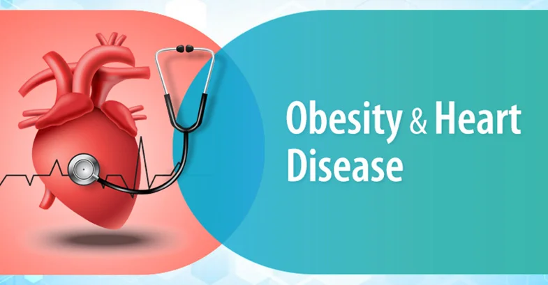 How Does Obesity Impact The Heart?